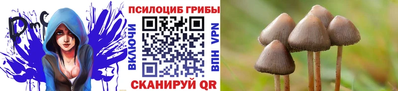 Галлюциногенные грибы Psilocybe OMG онион Муравленко купить закладку